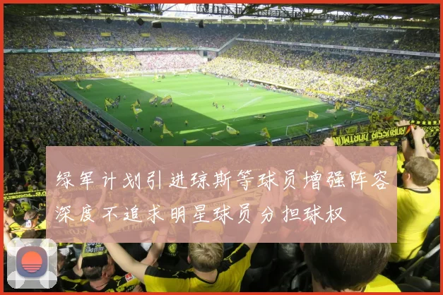 绿军计划引进琼斯等球员增强阵容深度不追求明星球员分担球权